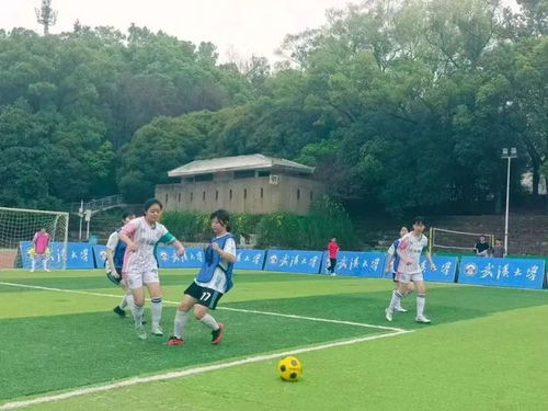 费利佩中超替补打入12球，自有统计以来仅次于王子铭和于汉超