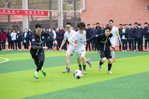 NBA雨燕直播蜘蛛博 现场画面