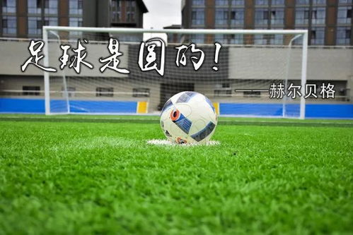 黑白直播nba免费观看下载篮球 现场画面